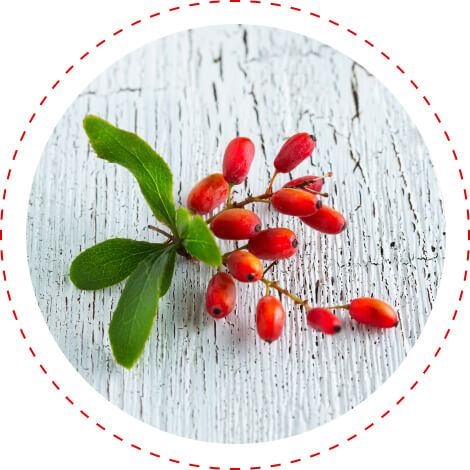 berberine for insulin response